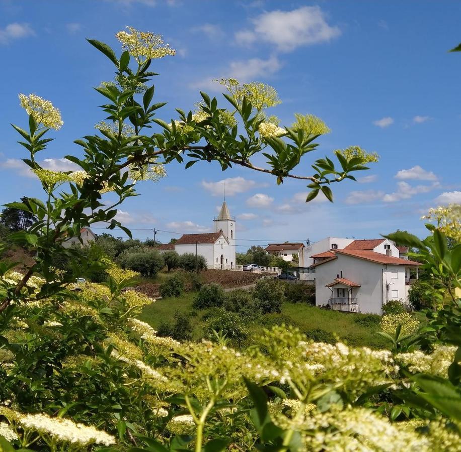 Vila Casa Da Casimira Miranda do Corvo Exteriér fotografie