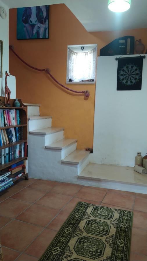 Vila Casa Da Casimira Miranda do Corvo Exteriér fotografie